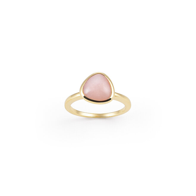 Amici ring geelgoud R7180POG