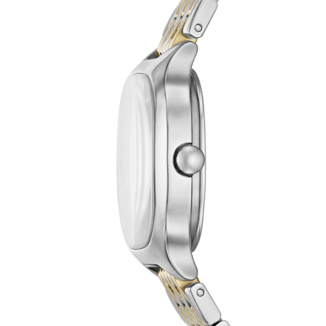 Skagen SKW3160
