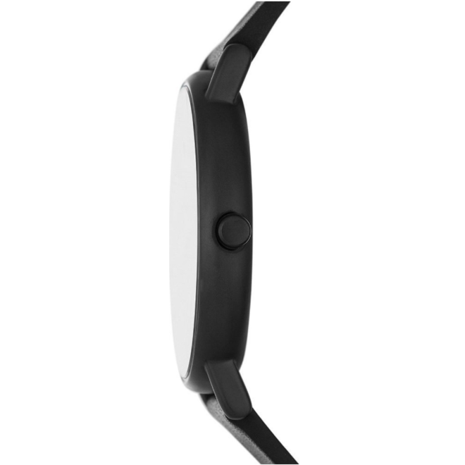 Skagen Signatur SKW6902