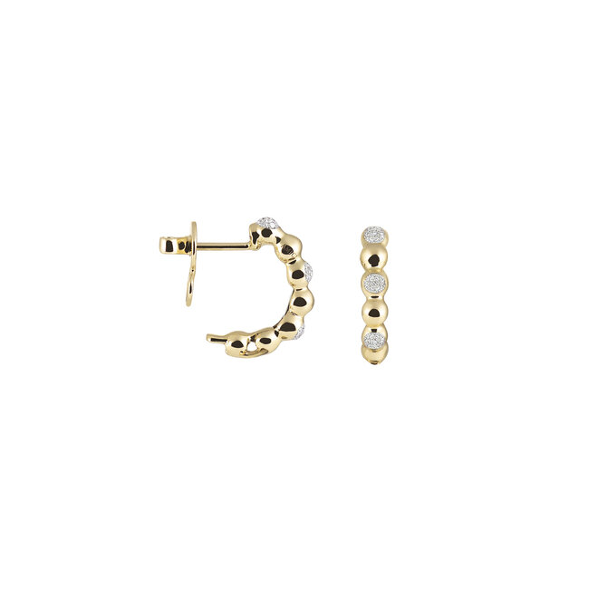 Amici oorsieraden geelgoud NE788WG-ST