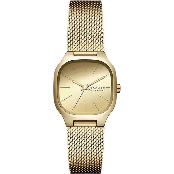 Skagen SKW3164