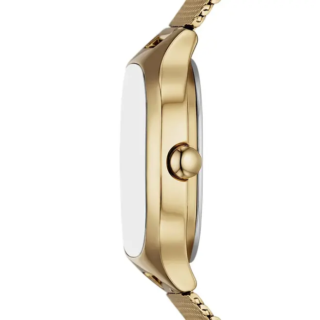 Skagen SKW3164