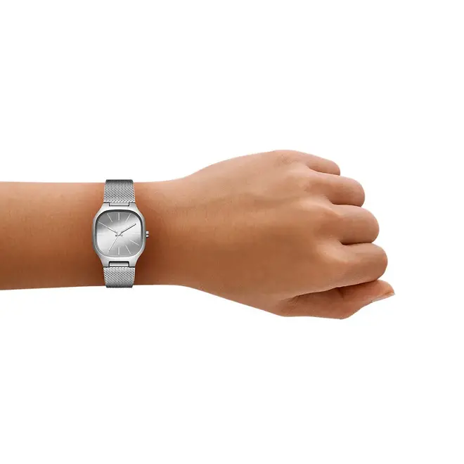Skagen SKW3163