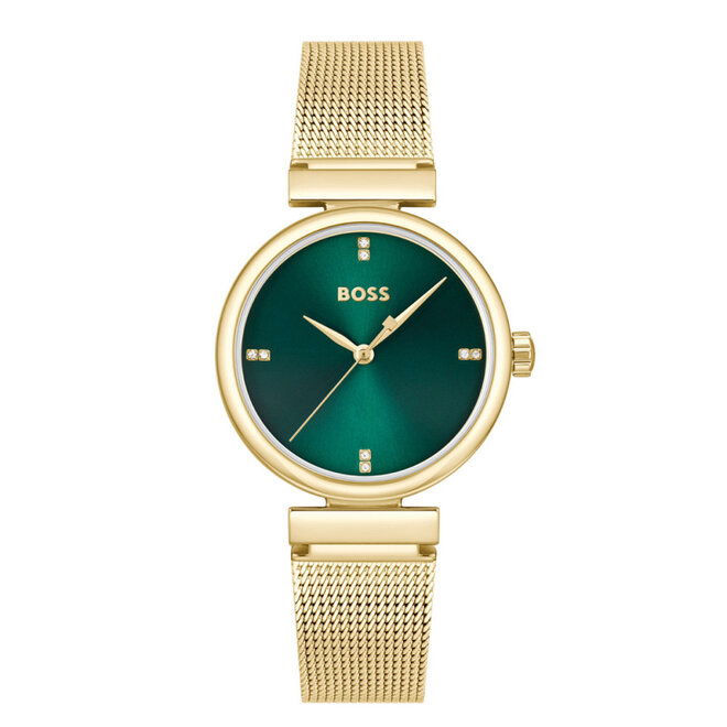 Hugo Boss Rosehill HB1502855