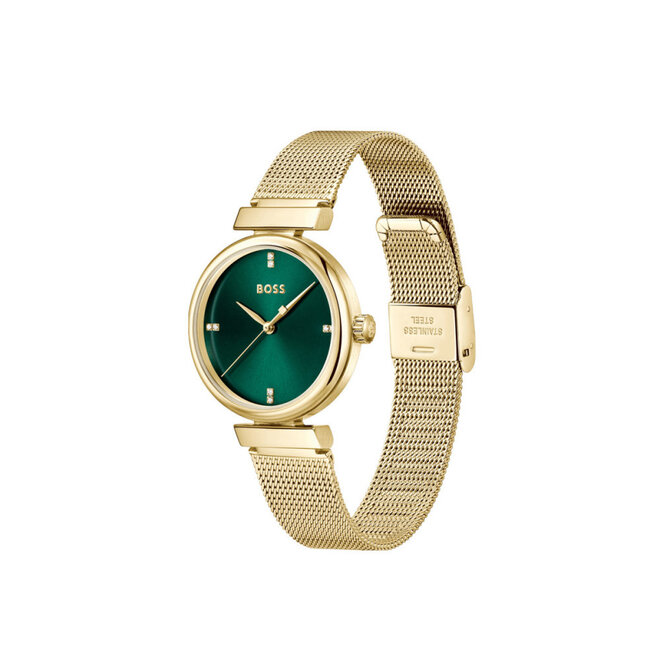 Hugo Boss Rosehill HB1502855