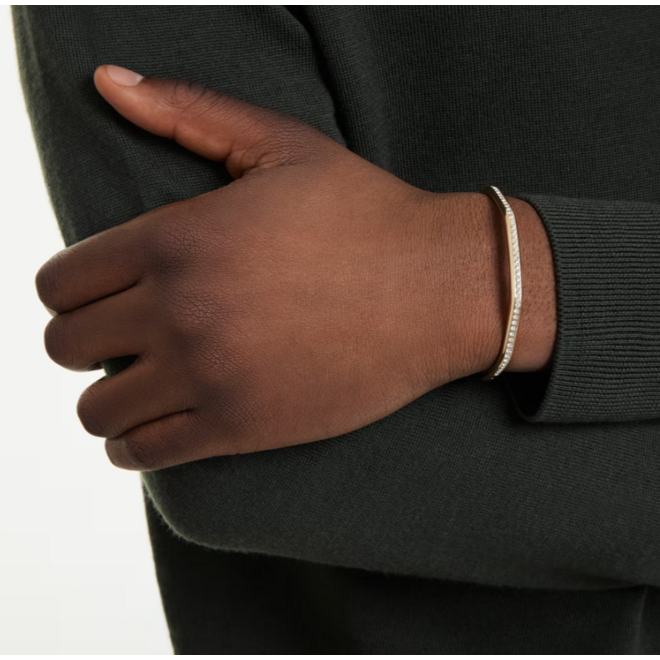 Swarovski Dextera Armband 5724581