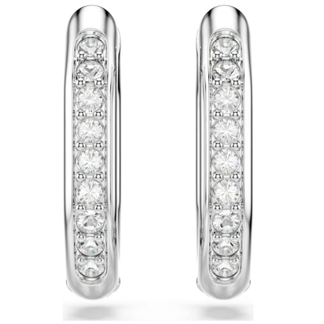 Swarovski Dextera Oorsieraad 5724585