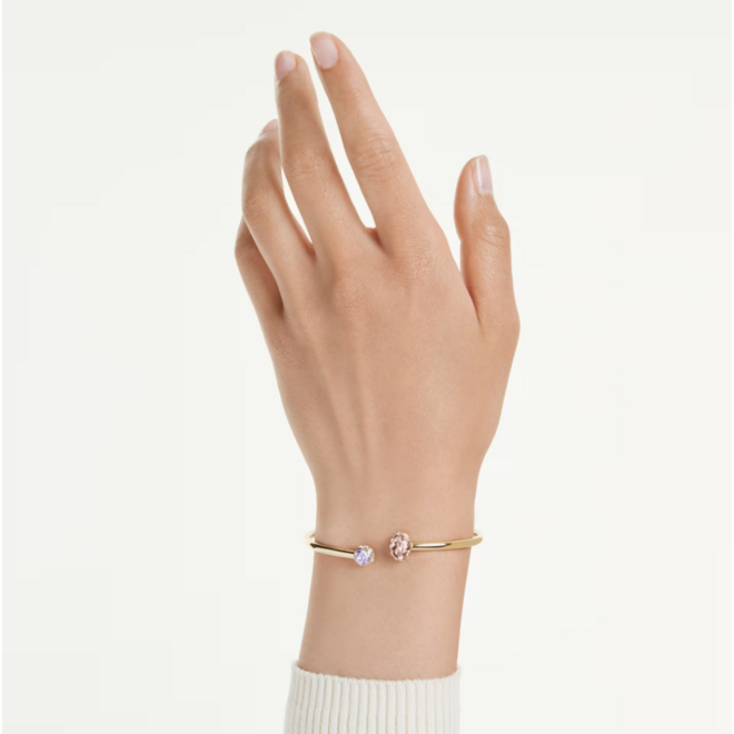Swarovski Chroma Armband 5738475