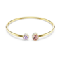 Swarovski Chroma Armband 5738475