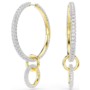Swarovski Dextera Oorsieraad 5738201