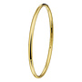 SilGold armband bangle 50.00135