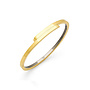 Boccia Titanium bangle03041-04