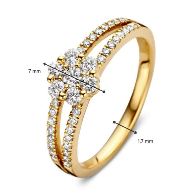 Excellent Ring RG117319