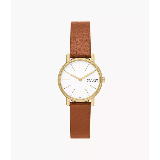 Skagen Signatur Lille SKW3121