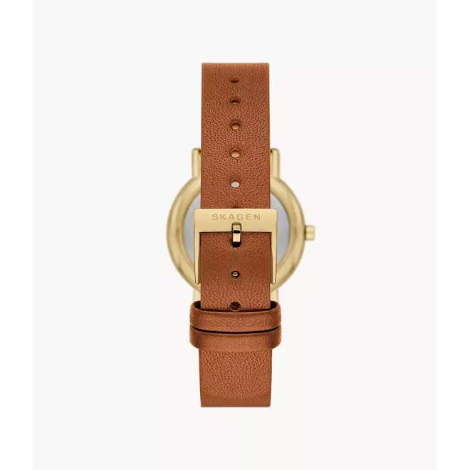 Skagen Signatur Lille SKW3121