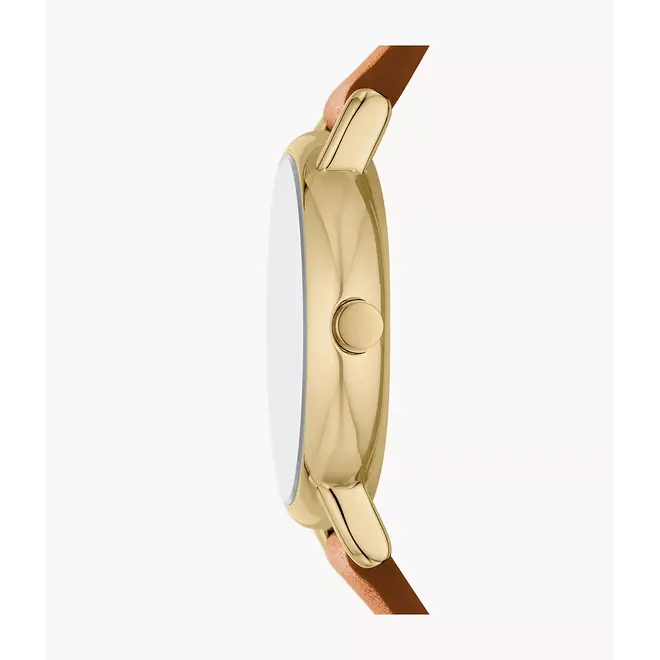 Skagen Signatur Lille SKW3121