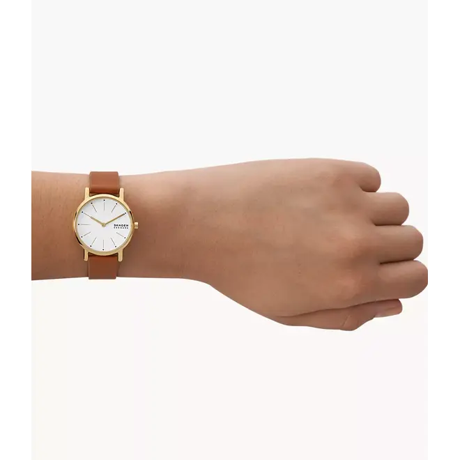 Skagen Signatur Lille SKW3121