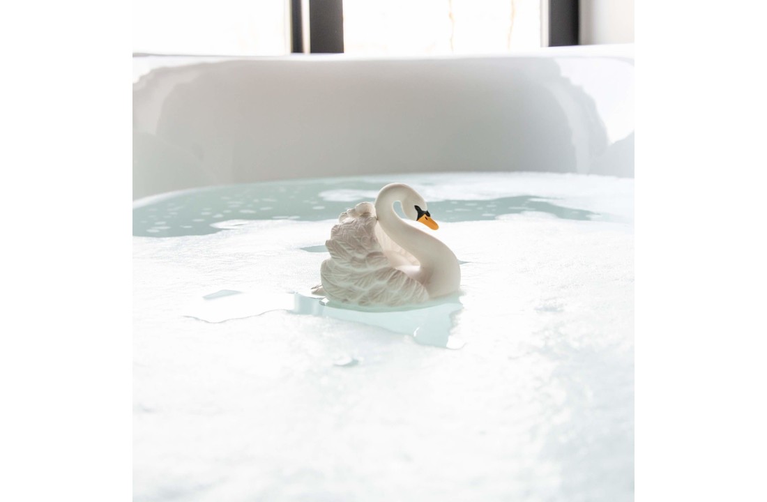 Badspeeltje Swan