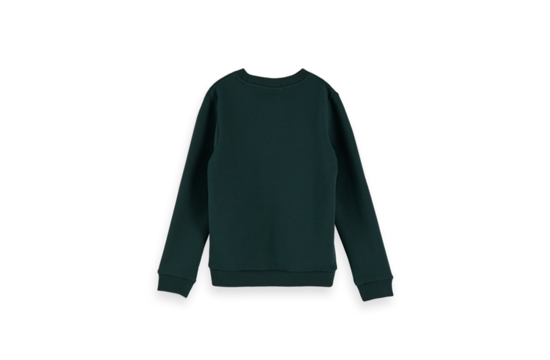 Sweater with embroidery, Scotch R'Belle