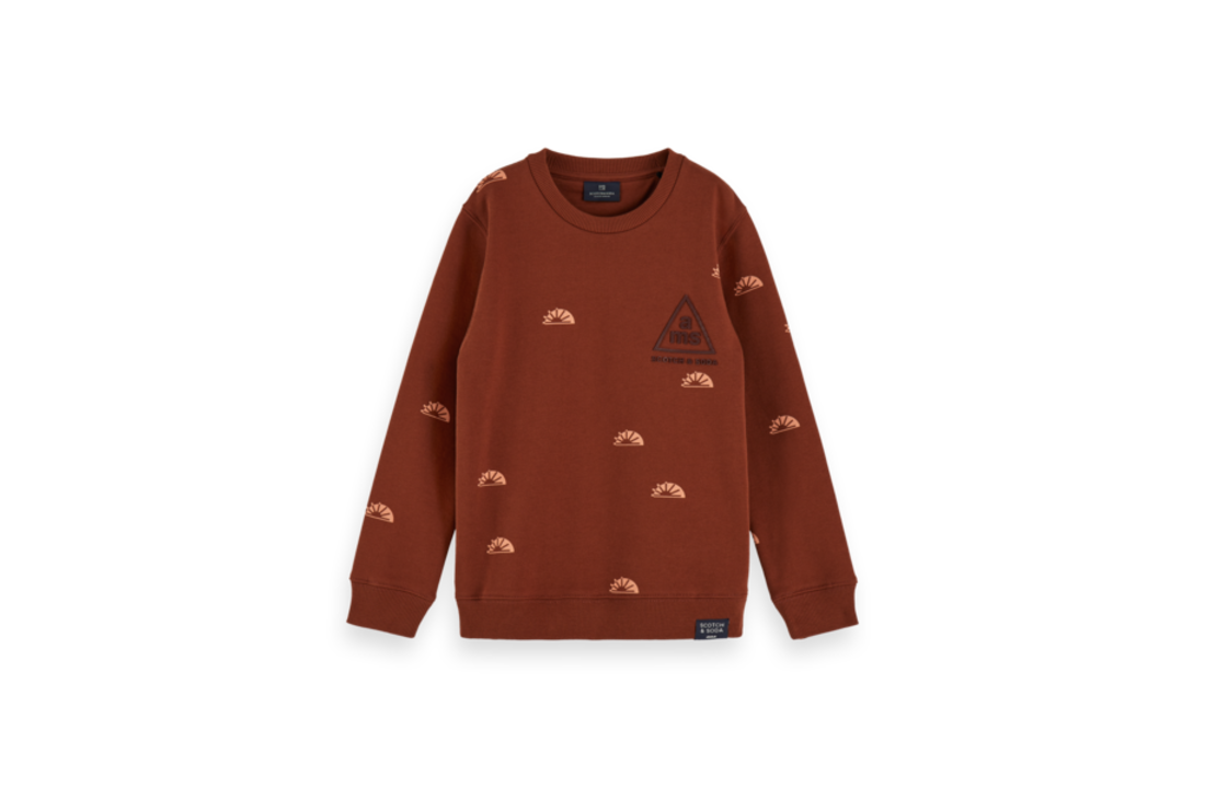 Sweater crewneck AOP, Scotch Shrunk
