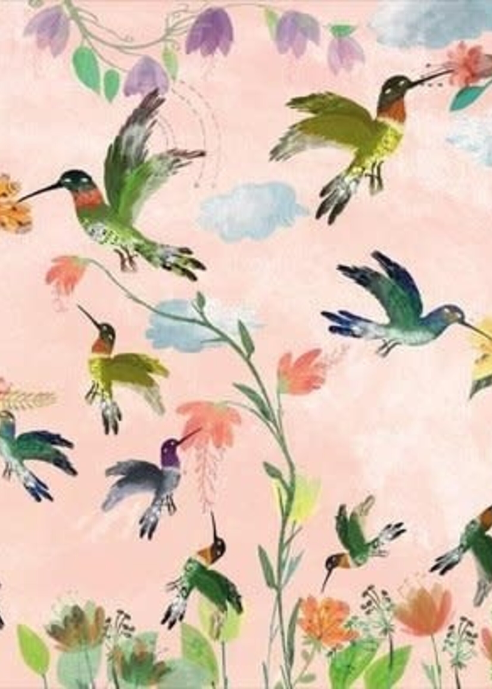 Het vrolijke vogel boek