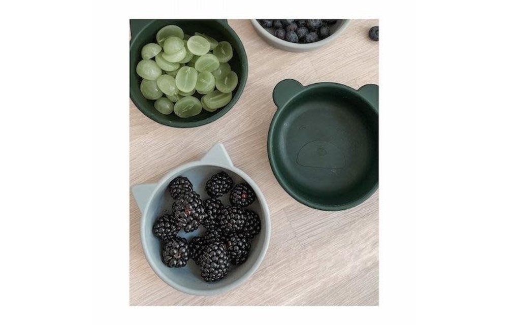 Iggy silicone bowls, Liewood
