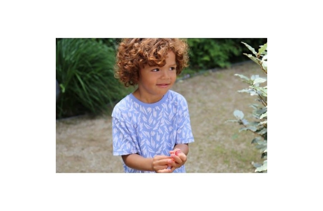 T-shirt Flinn, serenity blue, Daily Brat