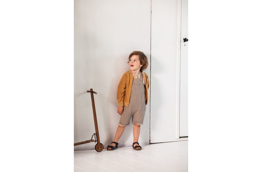 Boys button Cardigan Apple Cider, House Of Jamie