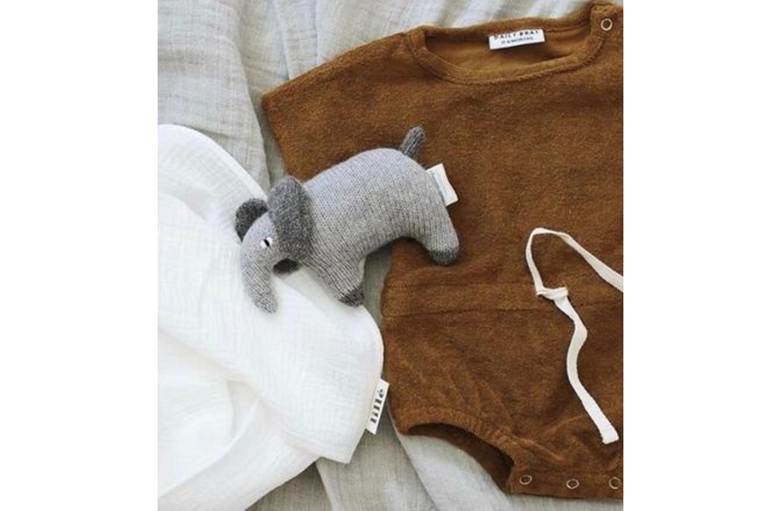 Joe suit Sand, Daily Brat