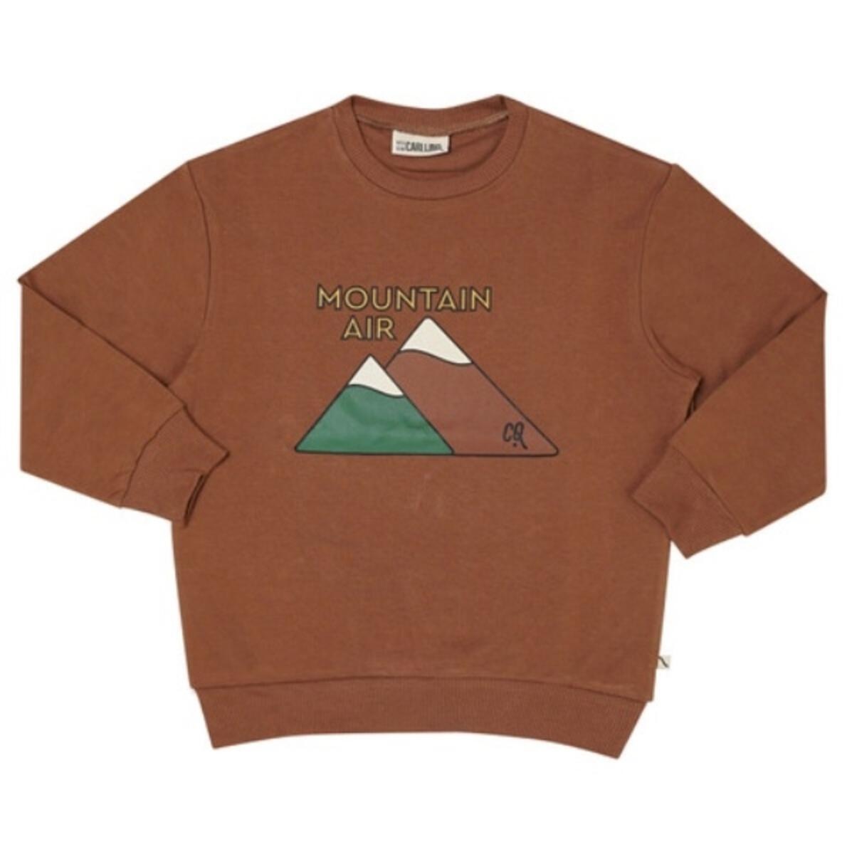 Mountain Air, sweater wt print, CarlijnQ