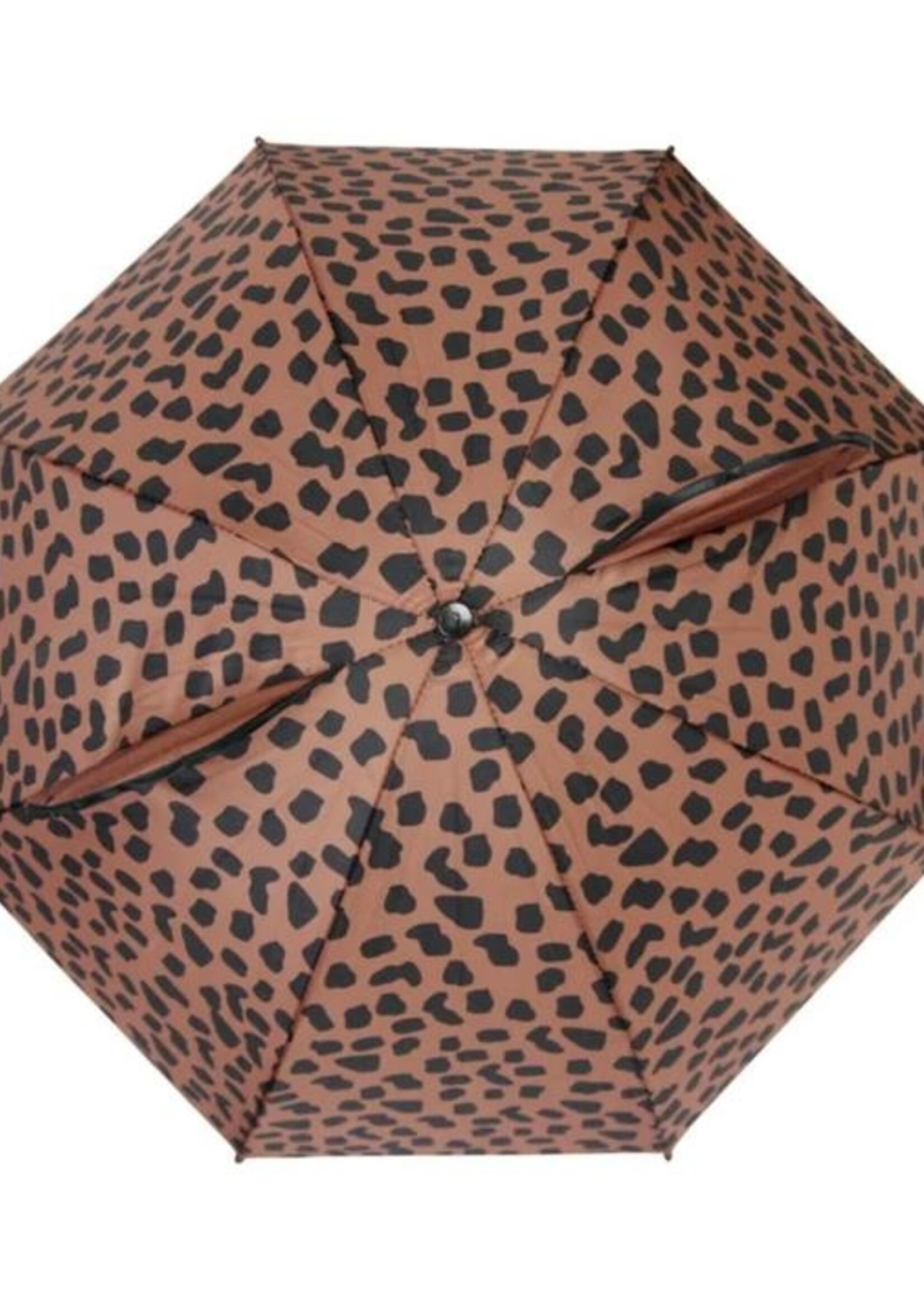 Van Pauline Umbrella caramel spots, Van Pauline