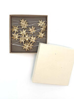 Sterrenslinger goud in doos, Anna Nera