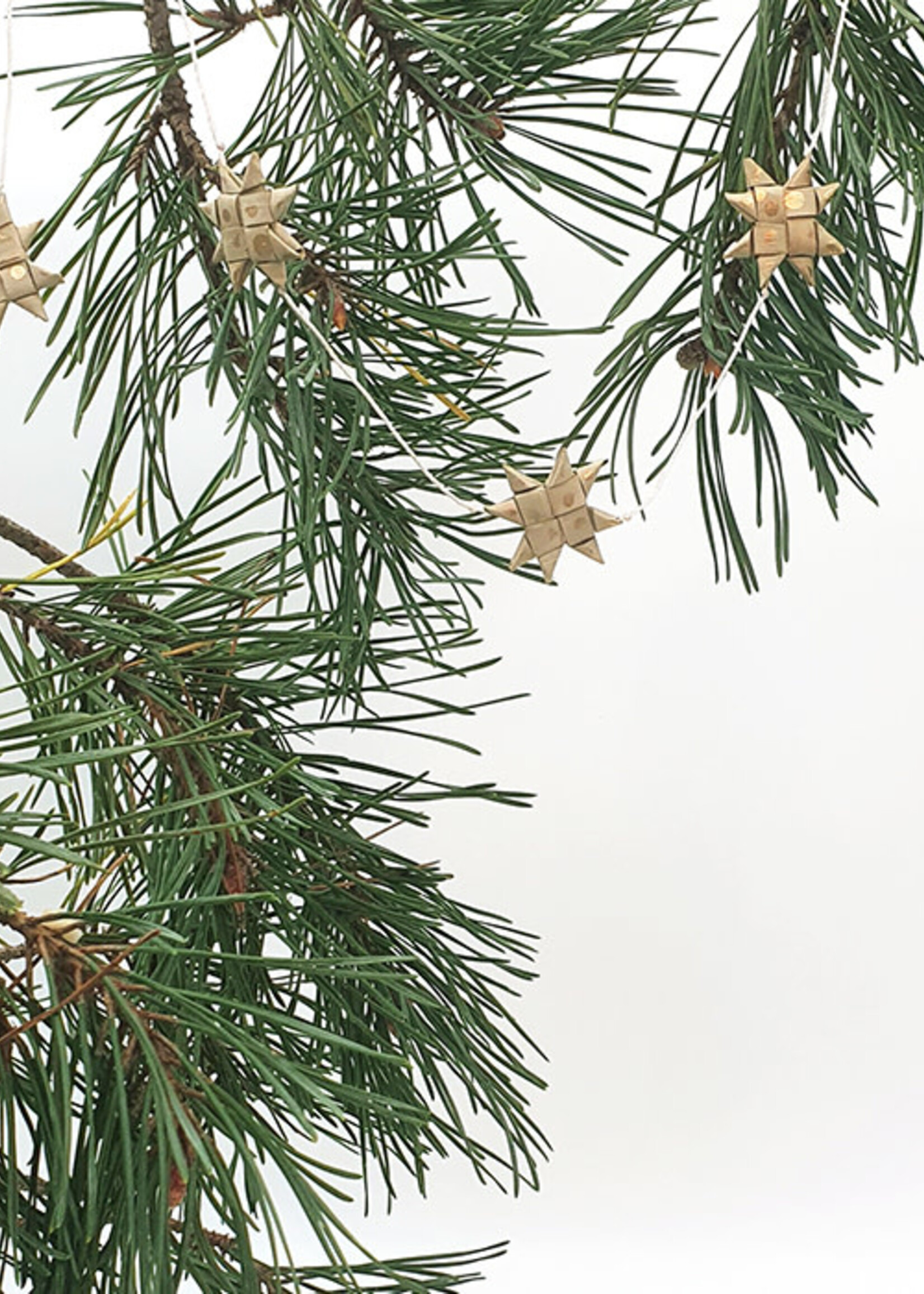 Sterrenslinger goud in doos, Anna Nera