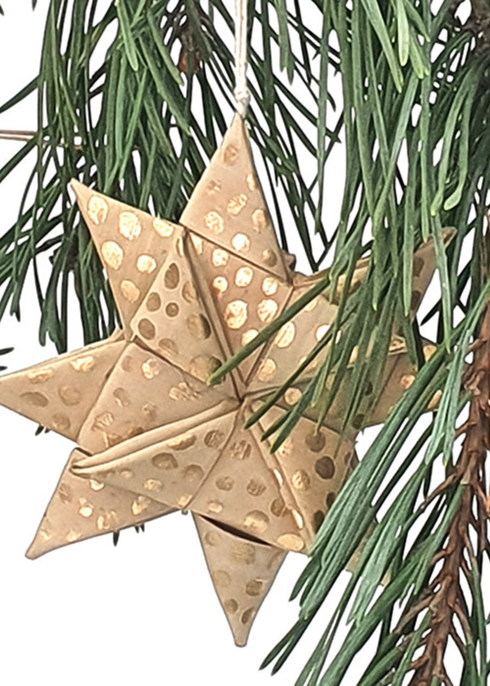 ster goud palmblad set van 3, Anna Nera