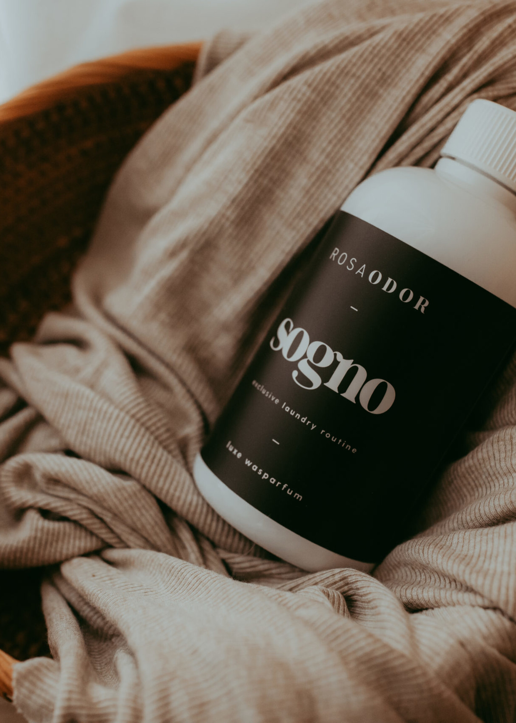 Rosaodor wasparfum Sogno, Rosaodor