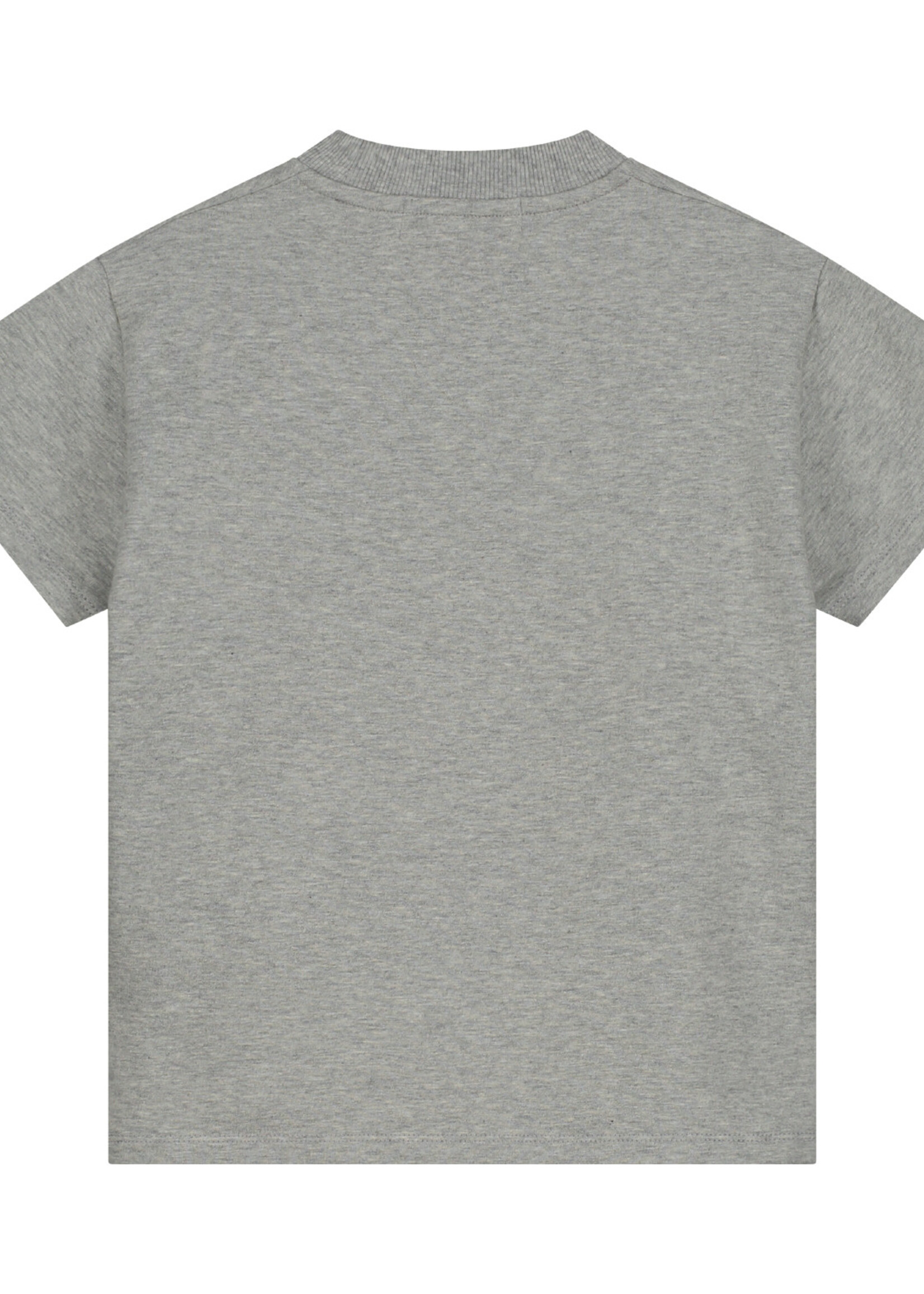 Charlie Petite Eddie T-shirt grey melange, Charlie Petite