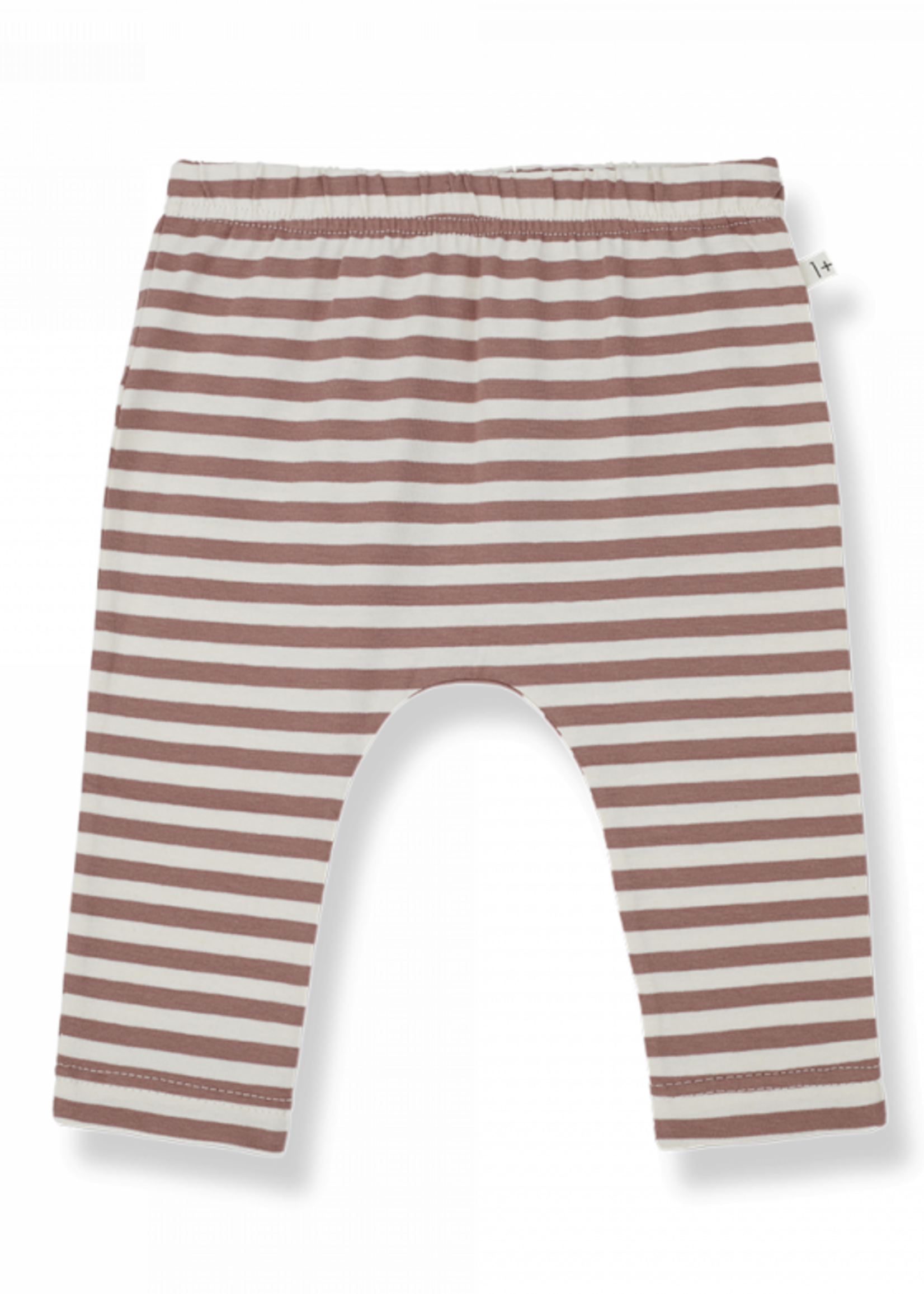 1 + in The Family Legging Silou Cedar, 1+ in the family