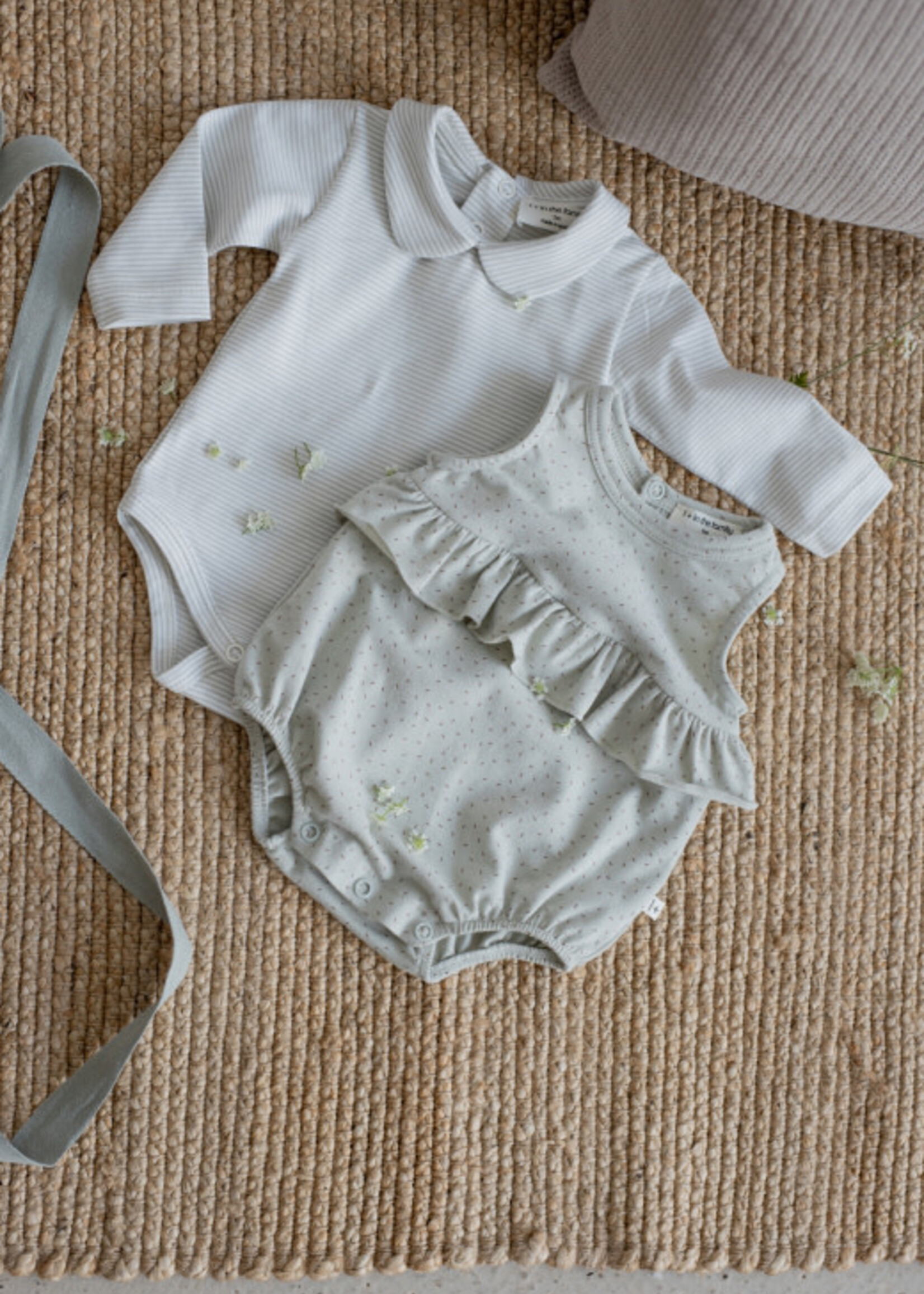 1 + in The Family Newborn romper Vinyet jade, 1+ in the Family