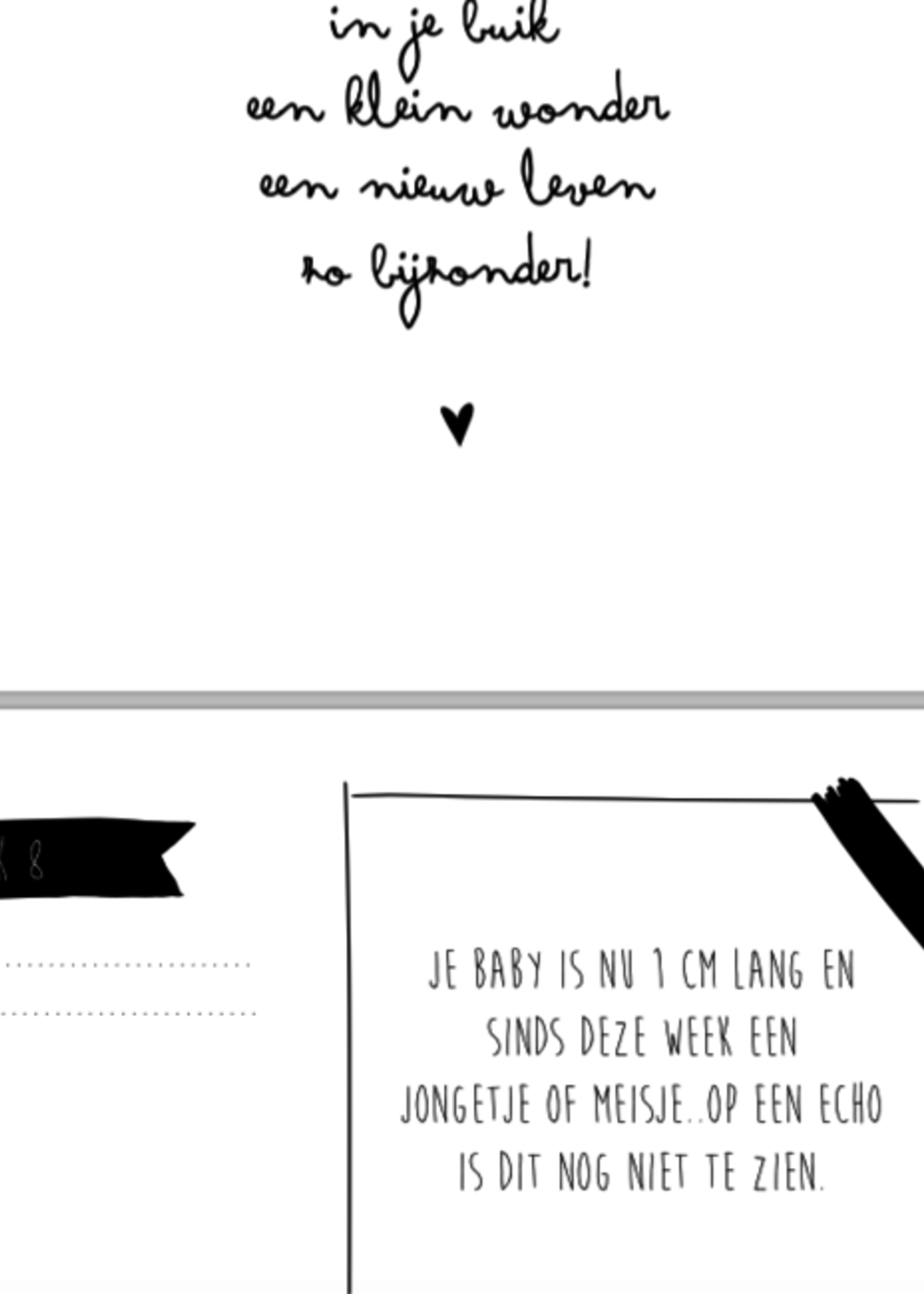 Kidooz Invulboek Bump, Kidooz