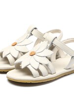 Iles fields Daisy, Donsje