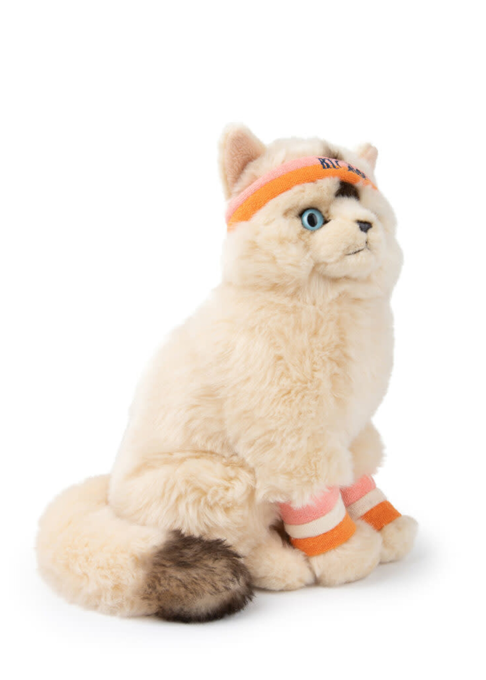 Bon Ton Toys Dolly the ragdoll knuffels, Bon Ton Toys