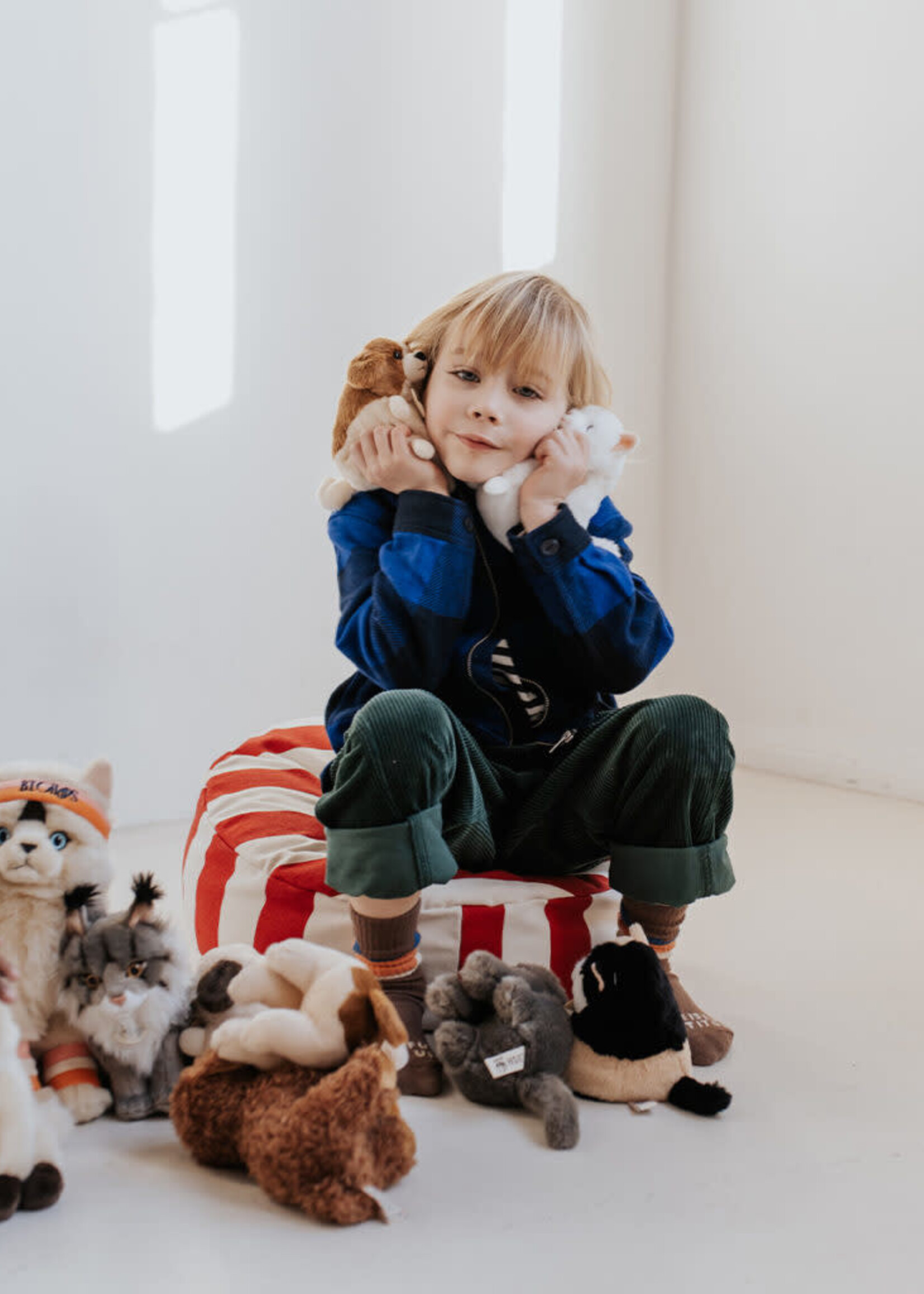 Bon Ton Toys Freddy british shorthair cat in giftbox, Bon Ton Toys