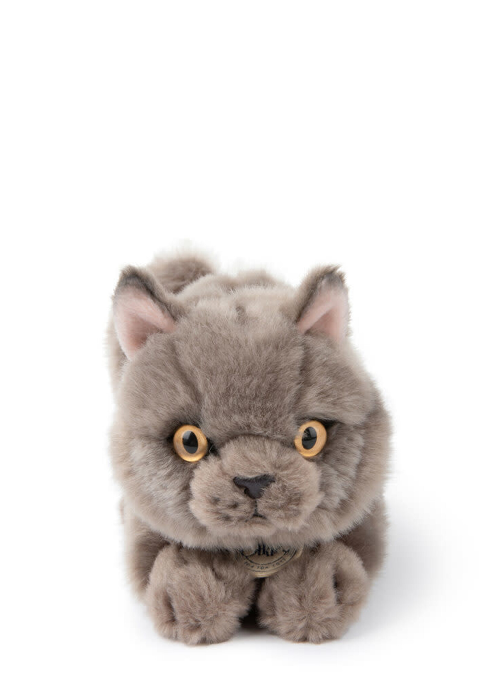 Bon Ton Toys Freddy british shorthair cat in giftbox, Bon Ton Toys