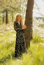STARDUST LEO MAXI DRESS