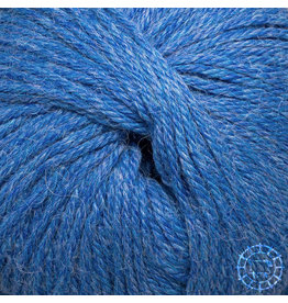 Apu Kuntur  Alpaca Regular – Myosotis