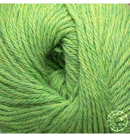 Apu Kuntur  Alpaca Regular – Printemps