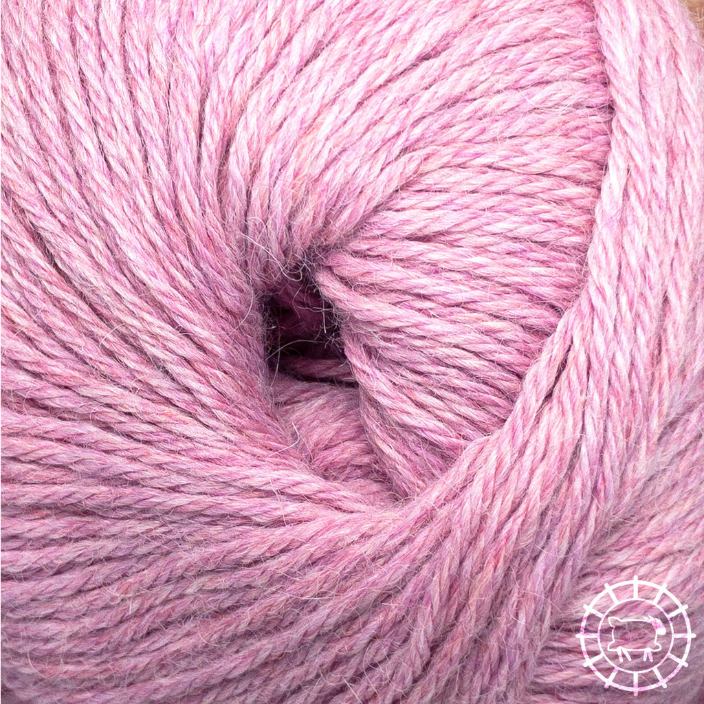 Apu Kuntur  Alpaca Regular – English Rose