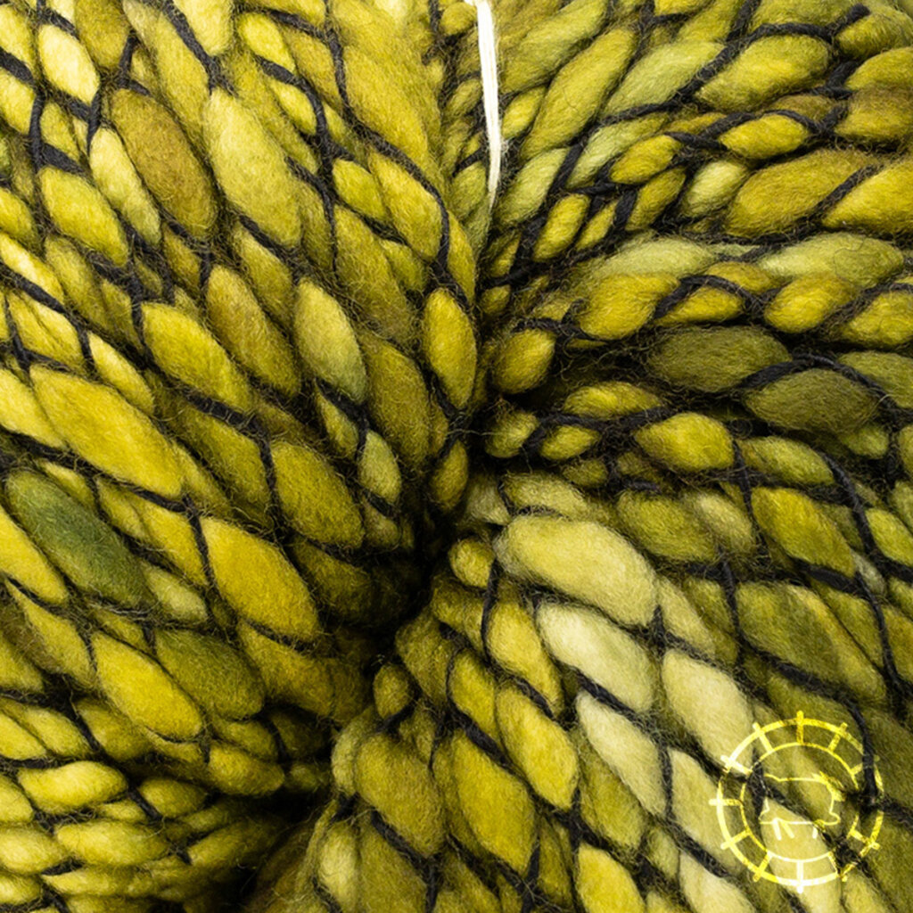 Malabrigo Yarn Caracol – Lettuce