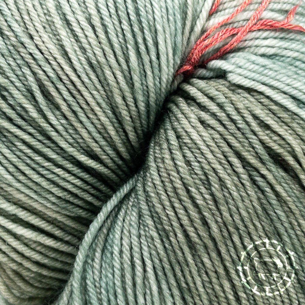 Malabrigo Yarn Ultimate Sock – Pascal