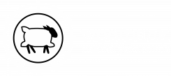 Woolpack – besonders gute Garne